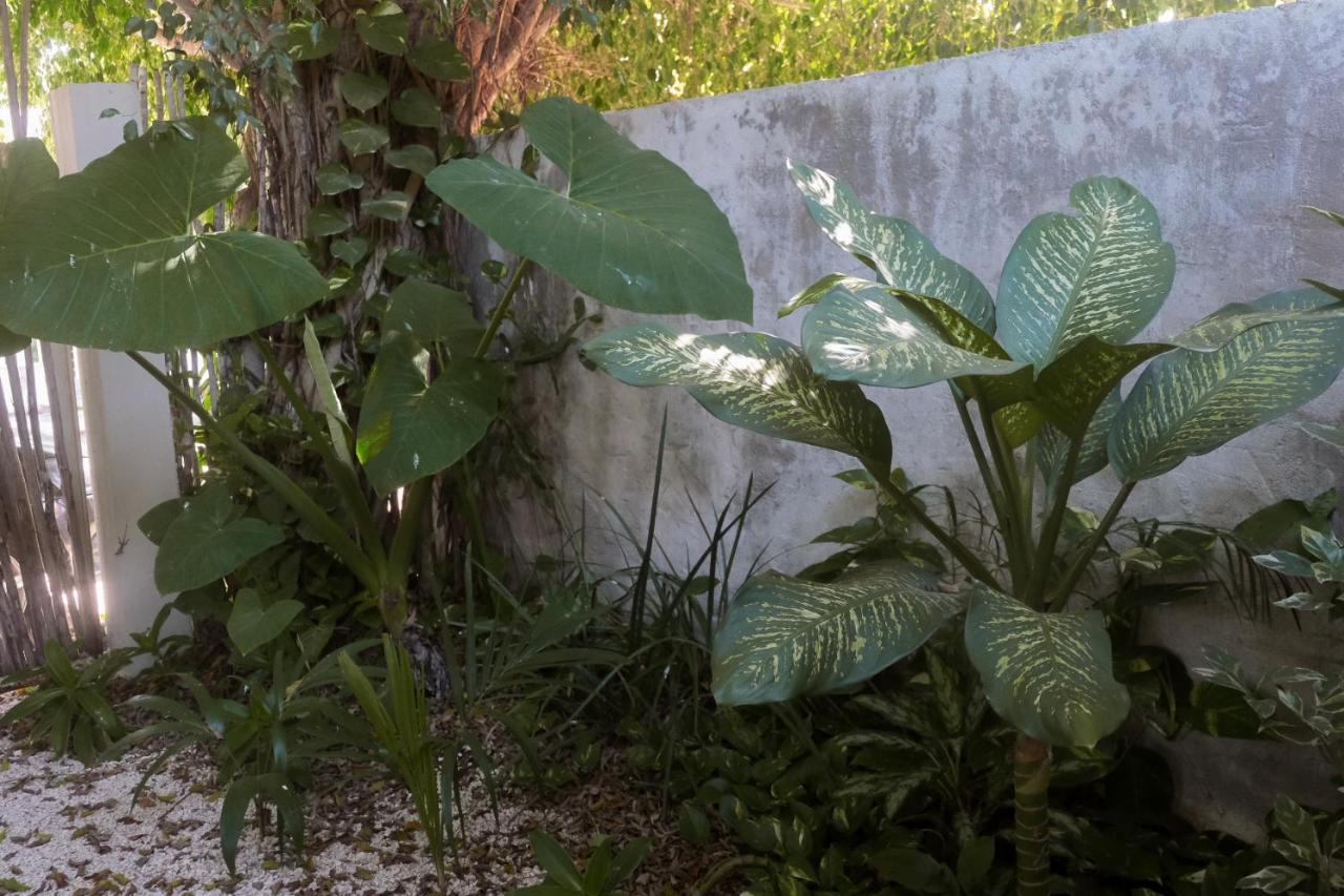 Wabi Sabi Garden Guesthouse By Amara Concepts. Tulum Exterior photo